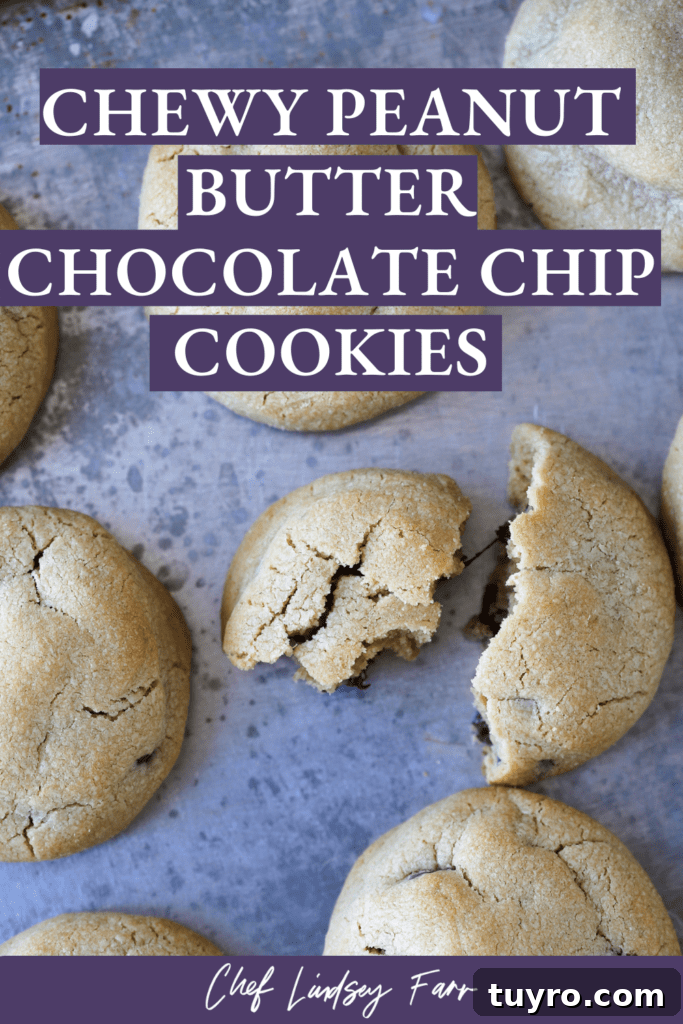Chewy Peanut Butter Chocolate Chip Cookies Recipe 11 Peanut butter chocolate chip cookies on a grey countertop.