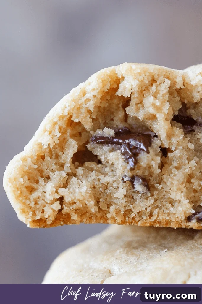 Chewy Peanut Butter Chocolate Chip Cookies Recipe 12 A section of the inside of a peanut butter chocolate chip cookie with a gooey chocolate chip.