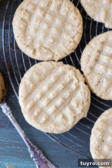 Chewy Peanut Butter Chocolate Chip Cookies Recipe 9 Old Fashioned Peanut Butter Cookies on cooling rack.