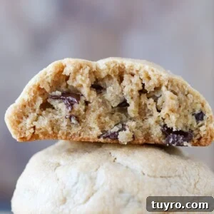 Chewy Peanut Butter Chocolate Chip Cookies Recipe 10 Chewy Peanut Butter Chocolate Chip Cookies.