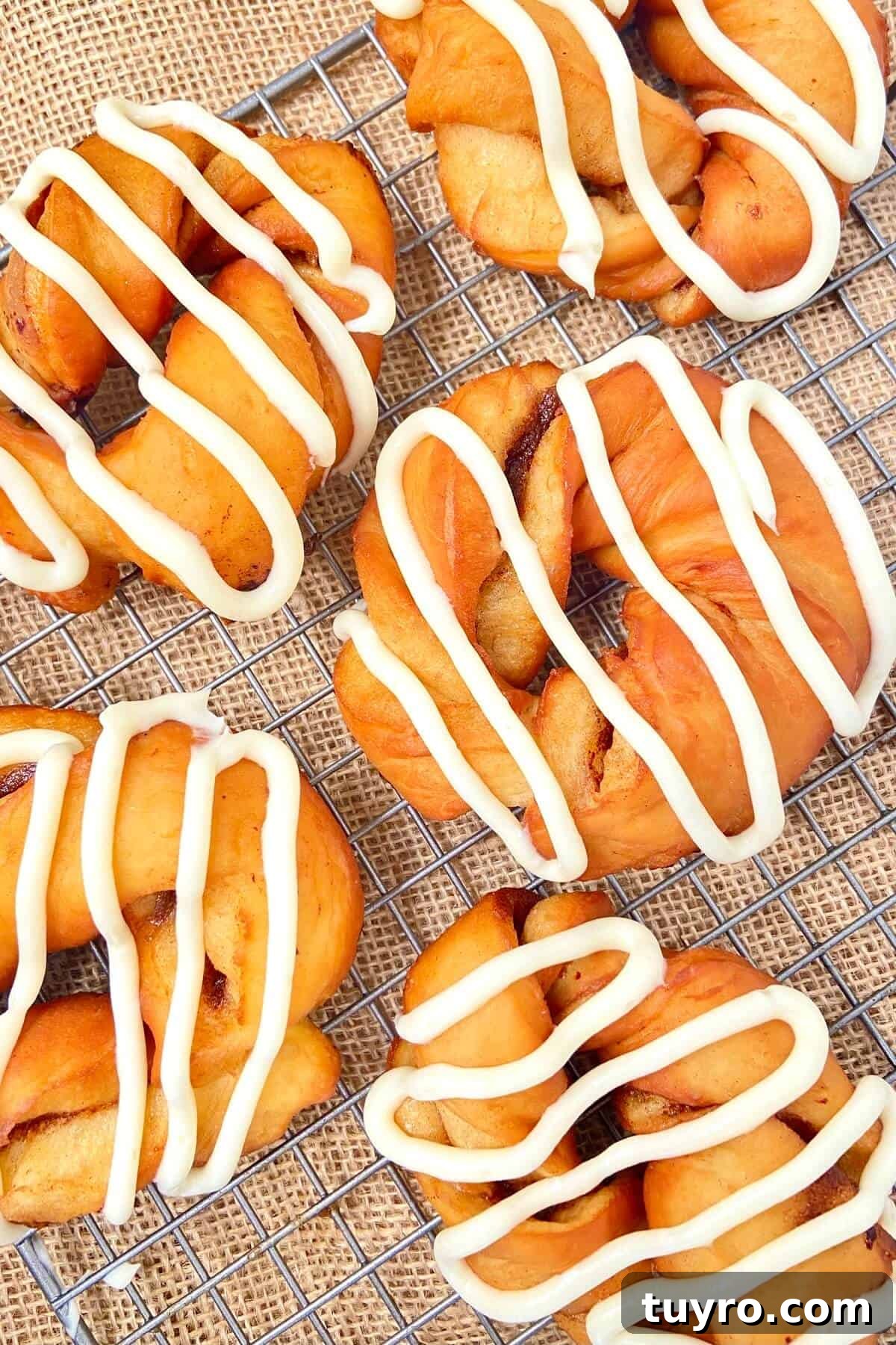 Cinnamon Roll Donuts: Soft Swirls with Cream Cheese Glaze 5 Donuts on a cooling rack, drizzled with icing.