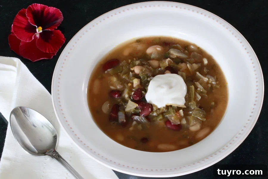 Bowl of Vegan Bean Soup