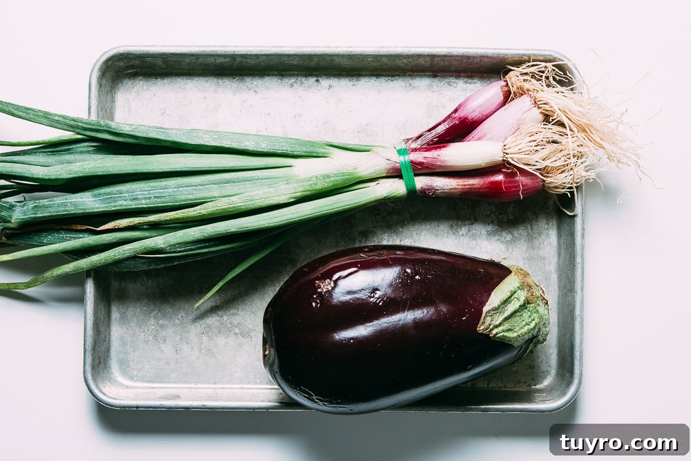 Grilled Scallion and Eggplant Pizza Recipe 4 Grilled Spring Onion and Eggplant Pizza