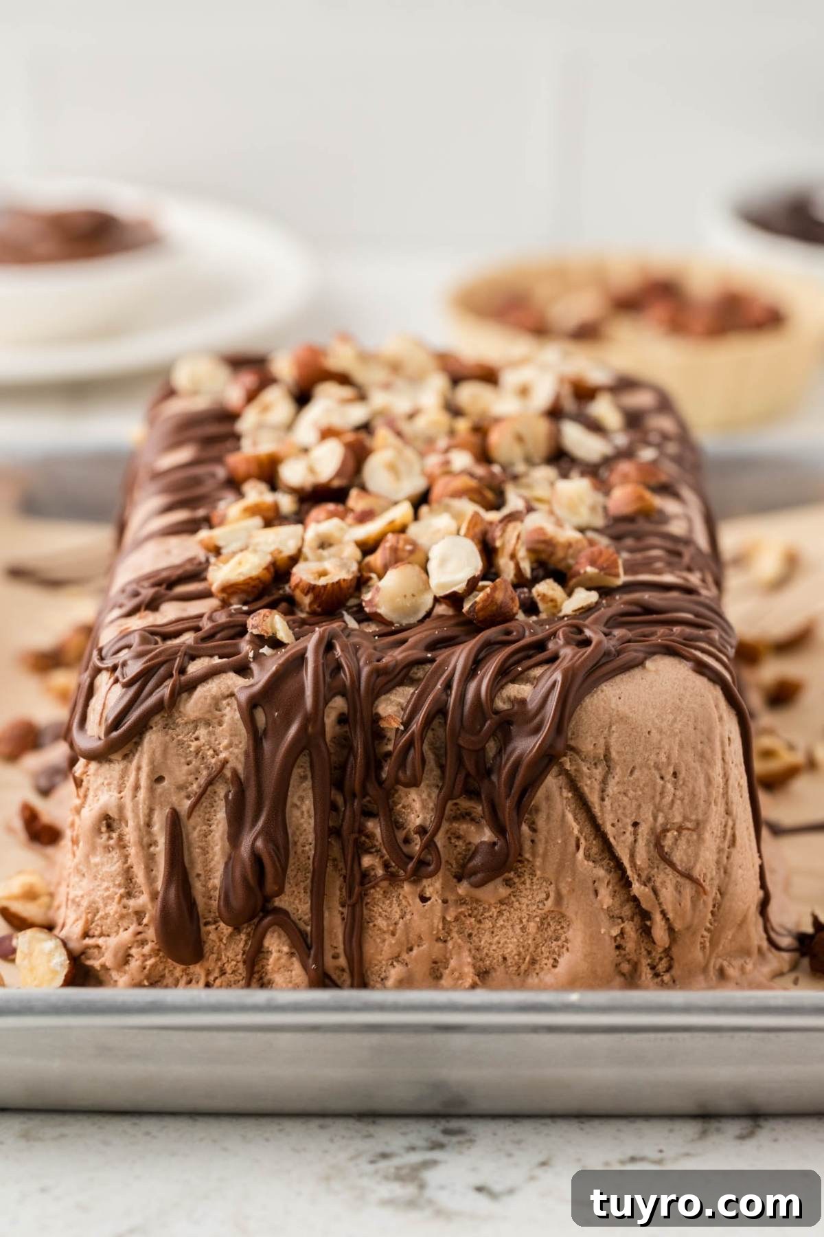 Chocolate ice cream loaf topped with chopped nuts and drizzled with chocolate on a metal tray.