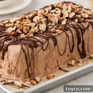 A Chocolate Hazelnut Semifreddo ice cream loaf topped with chopped nuts and drizzled with chocolate, served on a metal tray.
