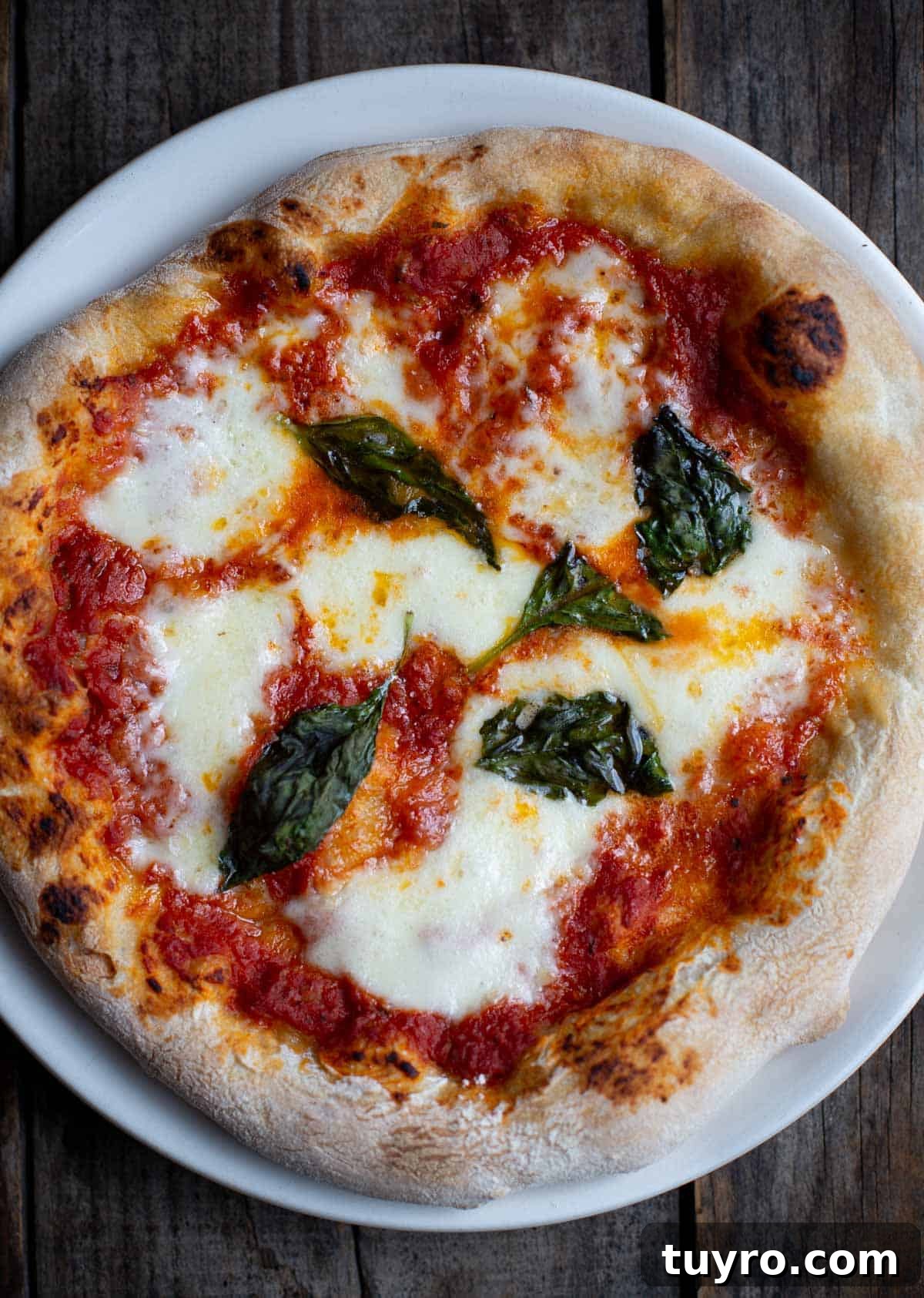 Classic Margherita Pizza Recipe with Fresh Basil 2 Cooked Margherita Pizza on a white plate