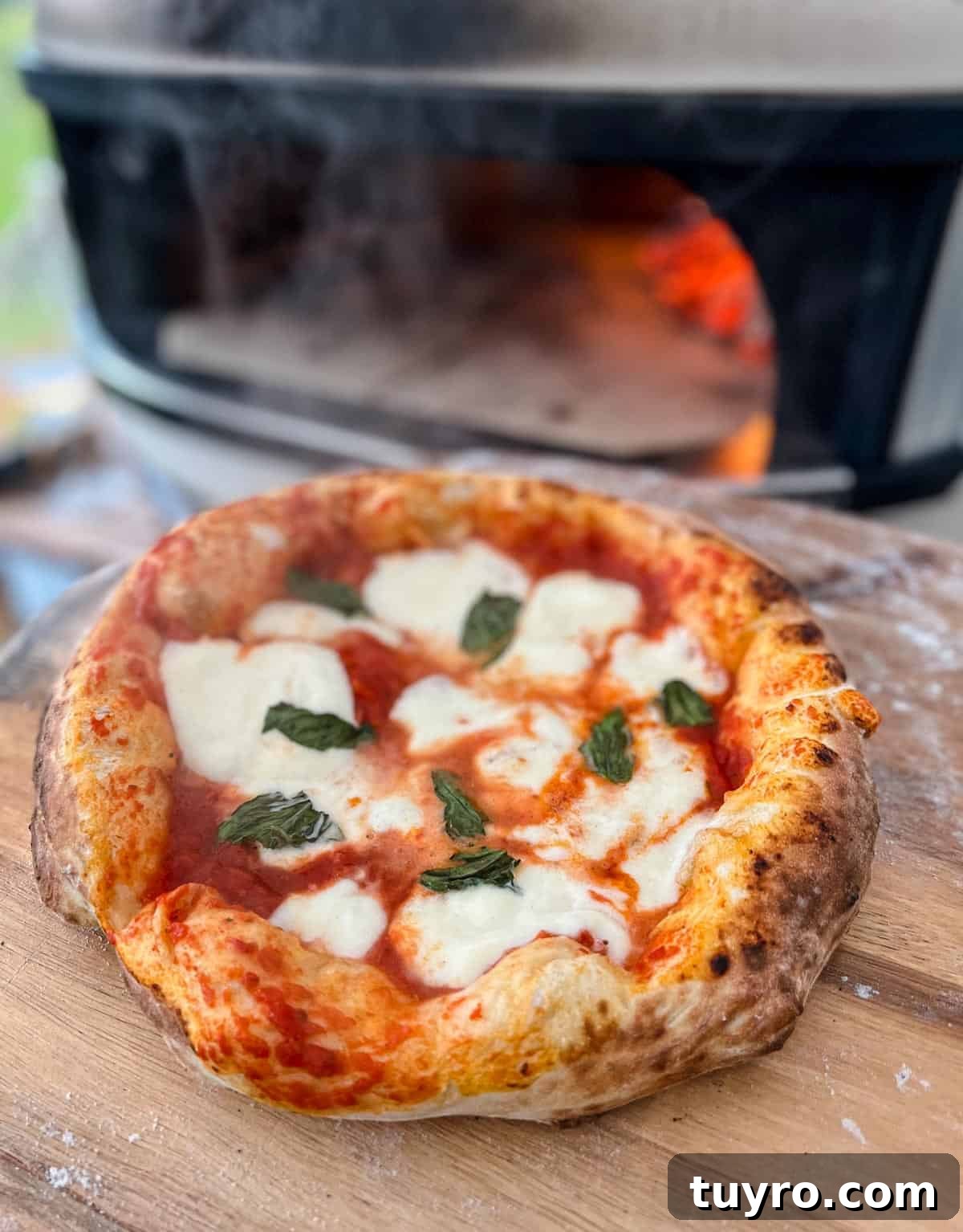 Classic Margherita Pizza Recipe with Fresh Basil 3 A Margherita Pizza cooked in a Gozney Dome wood fired pizza oven