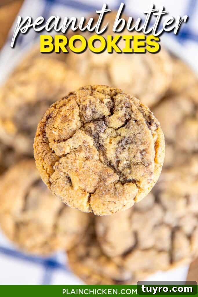 Peanut Butter Brookies Recipe: Fudgy Brownies with Peanut Butter Swirls 6 peanut butter cookie with text overlay