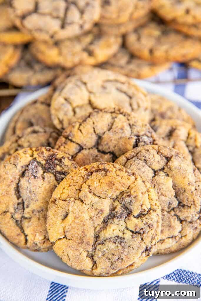 Peanut Butter Brookies Recipe: Fudgy Brownies with Peanut Butter Swirls 3 plate of peanut butter and brownie cookies