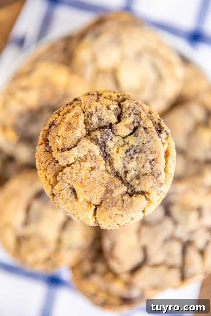 Peanut Butter Brookies Recipe: Fudgy Brownies with Peanut Butter Swirls 4 close up of a peanut butter cookie