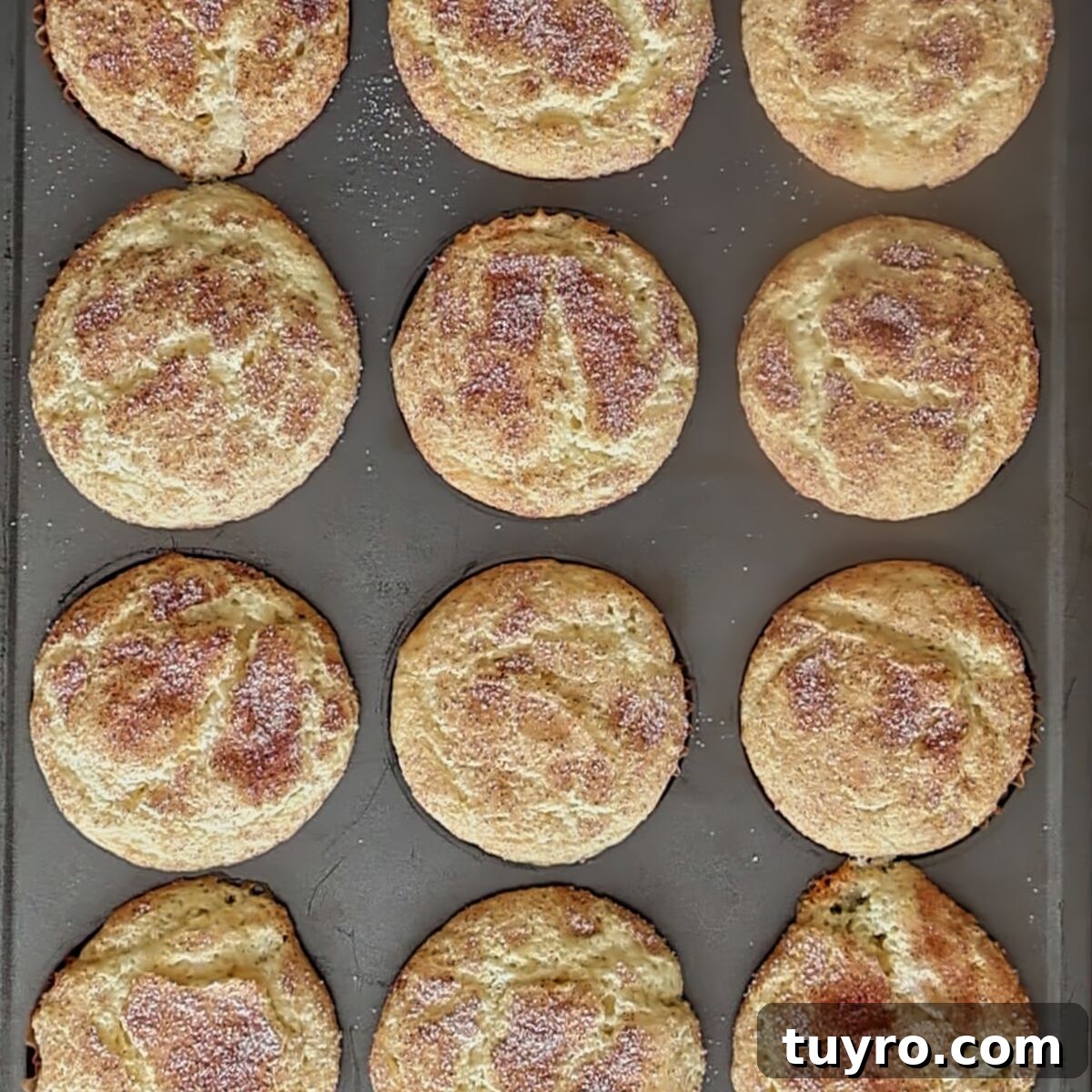 baked cinnamon sugar cupcakes in muffin pan.