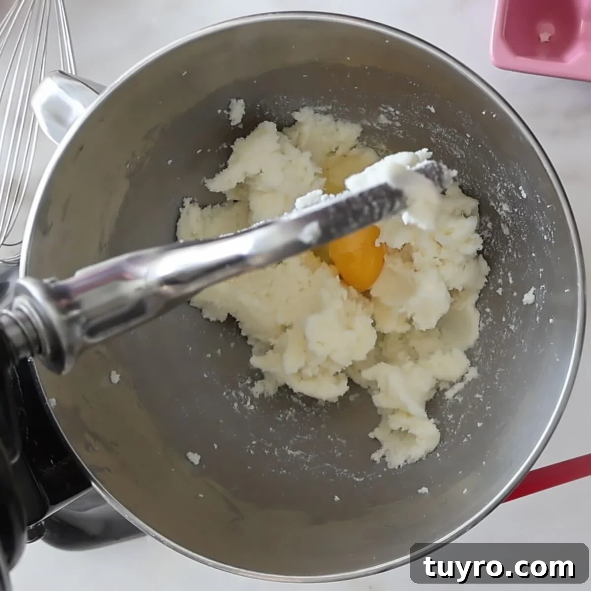 one egg added to creamed butter and sugar in stainless steel mixer bowl.
