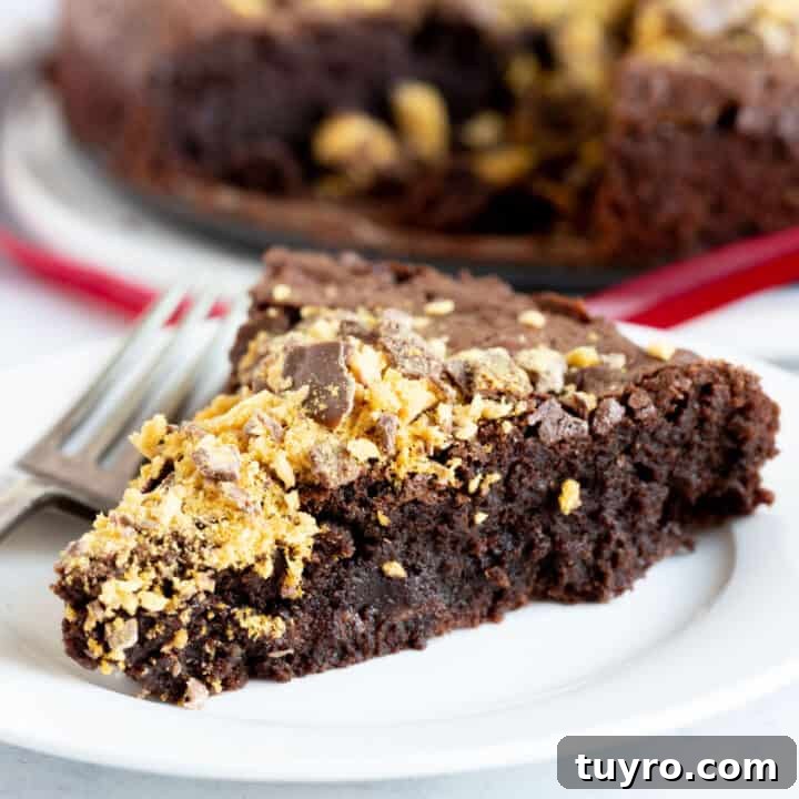 Chocolate torte with honeycomb.