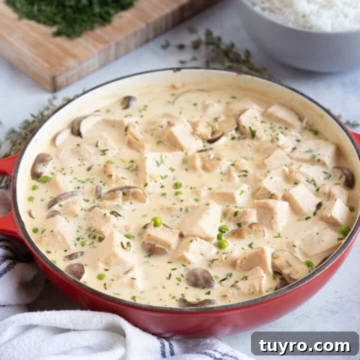 Leftover Turkey Fricassee in a red pan.