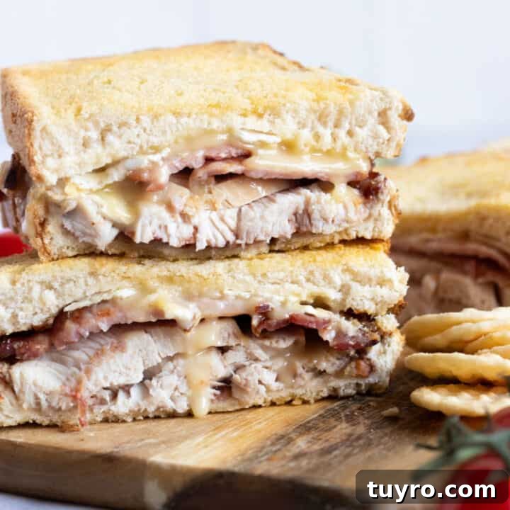 Air fryer turkey toastie.