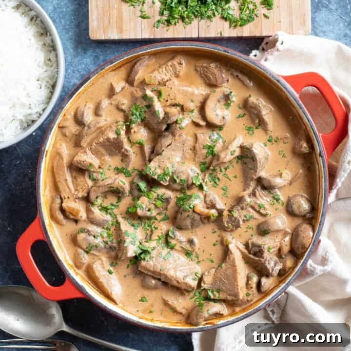 Leftover roast beef stroganoff with parsley.