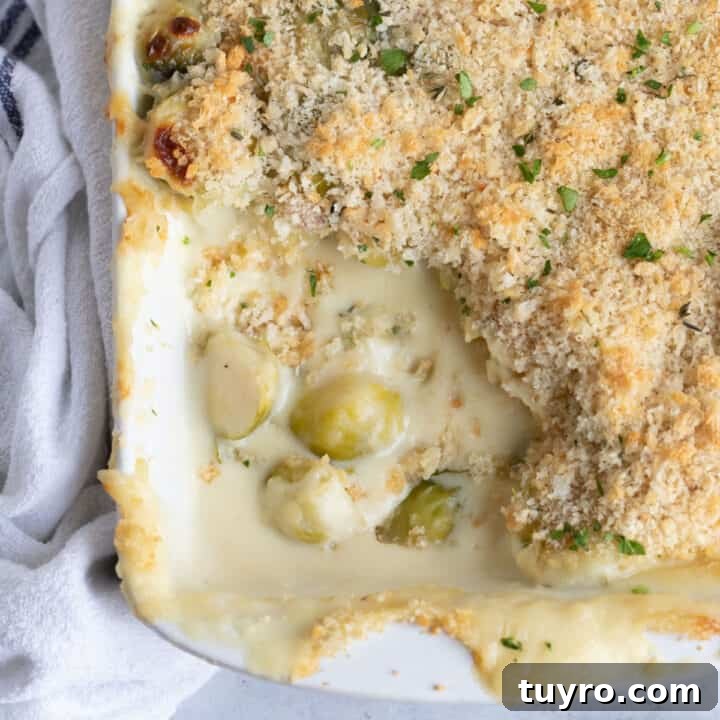 Brussels sprout gratin with breadcrumb topping.