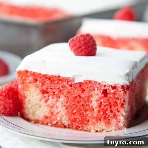 Classic Lazy Daisy Oatmeal Cake Recipe 9 red jell-o poke cake topped with whipped cream and raspberry on a white china plate.