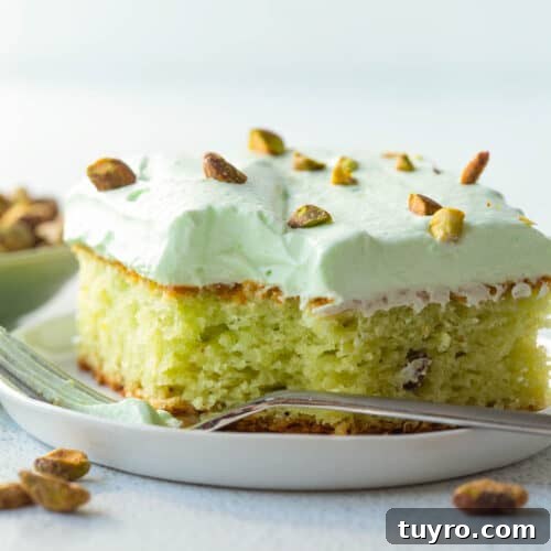Classic Lazy Daisy Oatmeal Cake Recipe 12 slice of pistachio cake topped with pistachio frosting and chopped pistachios on a white plate.