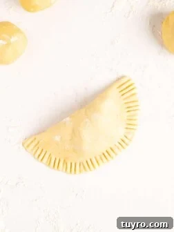 Empanada dough