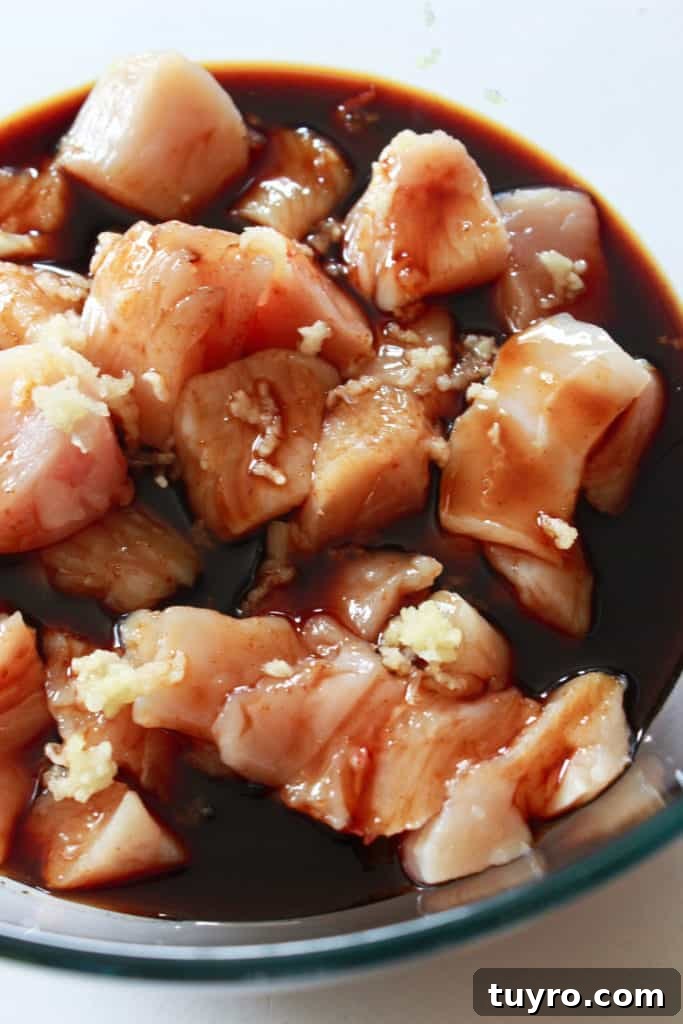 Teriyaki Chicken and Veggie Sheet Pan Dinner Recipe 3 img 2299 2