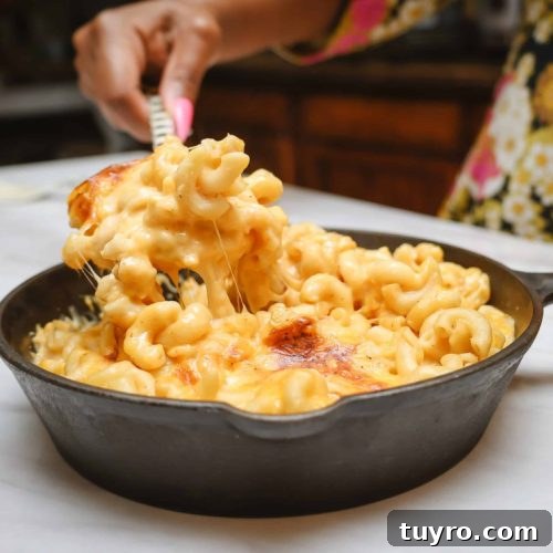 Baked Macaroni And Cheese