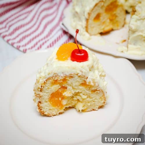 Southern Pig Pickin Cake