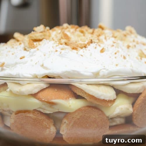 Southern Banana Pudding