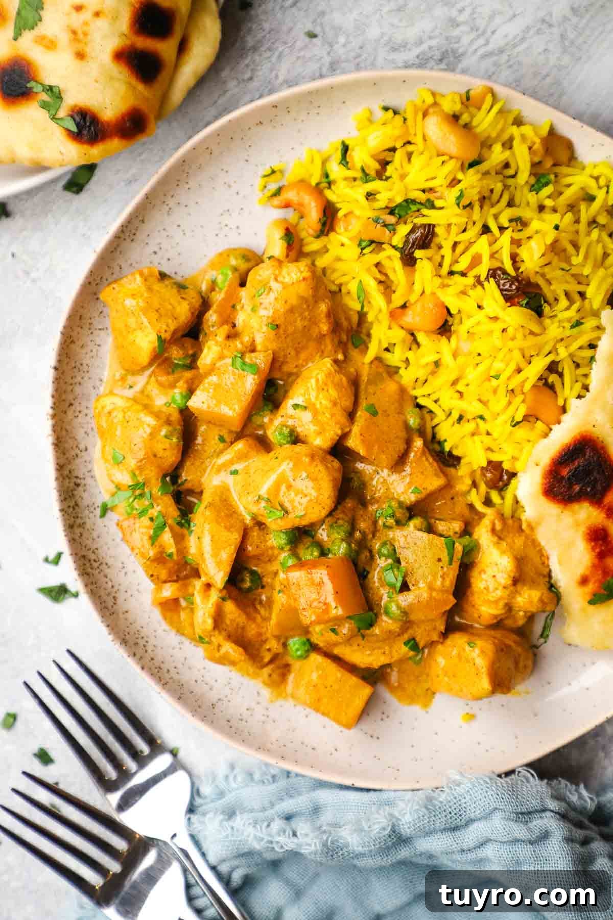 Chicken and Potato Curry Recipe 2 overhead view of chicken and potato curry with yellow basmati rice and naan bread