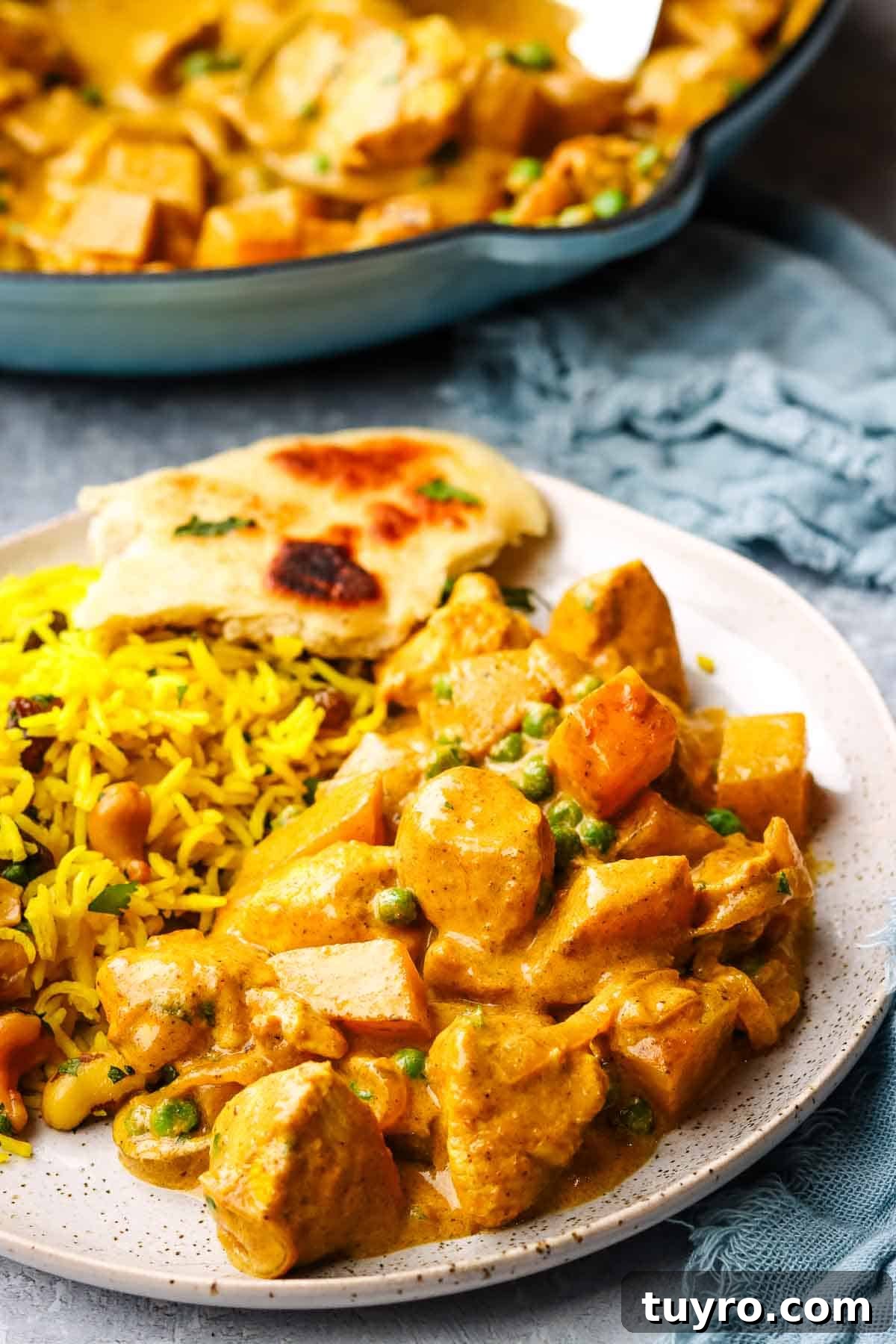 Chicken and Potato Curry Recipe 17 closeup view of chicken and potato curry with yellow basmati rice and naan bread