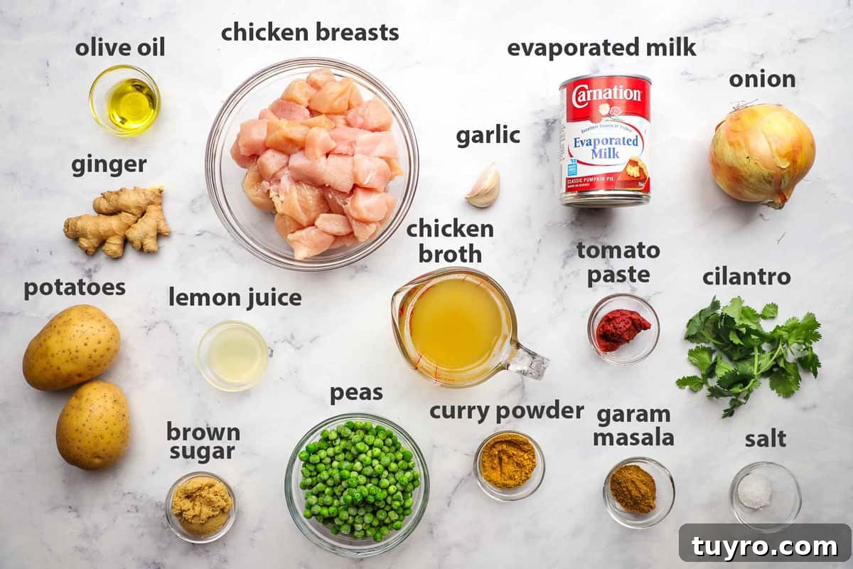 Chicken and Potato Curry Recipe 4 ingredients labelled for chicken and potato curry