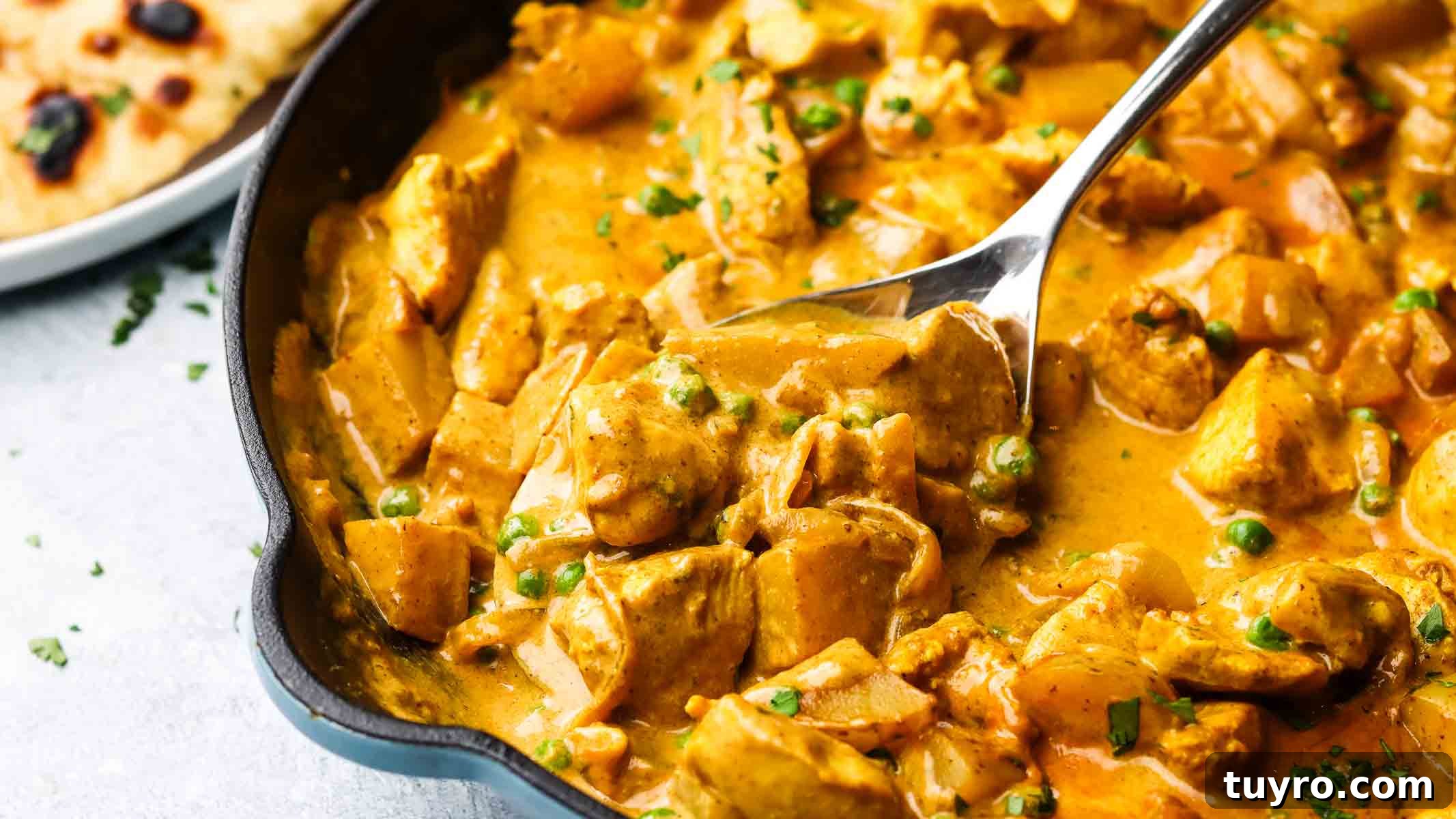 Chicken and Potato Curry Recipe 5 This creamy chicken and potato curry is a hearty, yet lightened-up, Indian-style curry that's not only quick and easy to prepare but also full of flavor.
