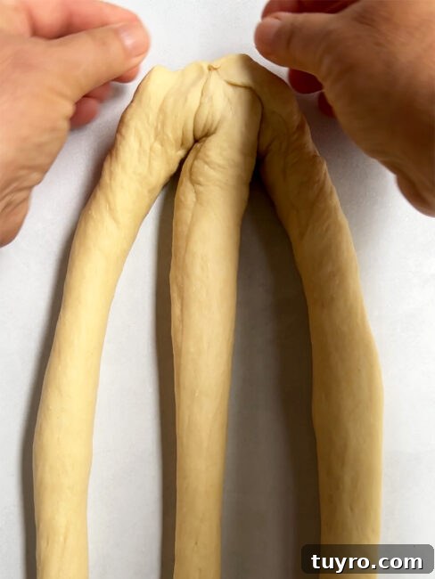 How to Braid Challah: Step-by-Step Visual Guide 3 Two hands connecting three strands of challah together to start a 3-strand challah braid.