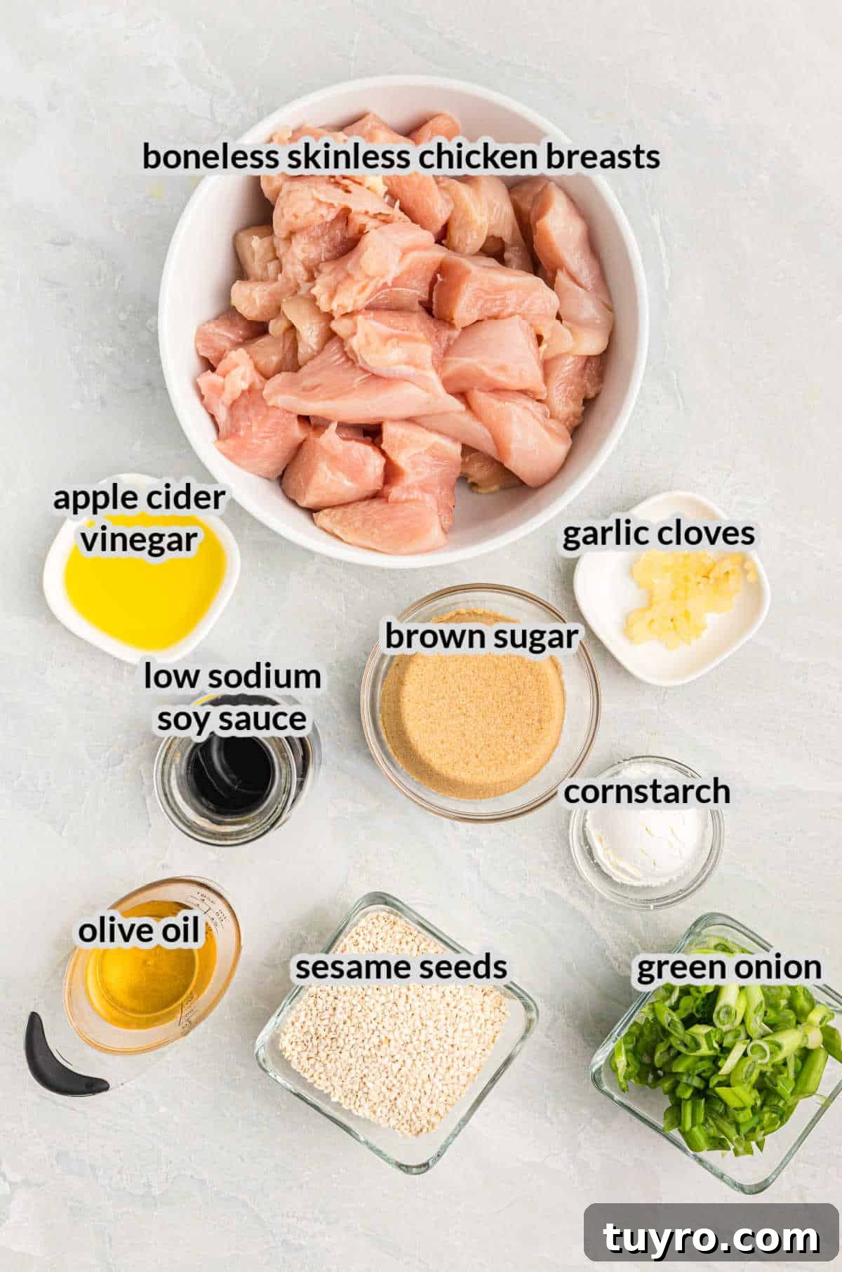 Blackstone Teriyaki Chicken Recipe: Sticky Glazed Griddle Chicken 3 Overhead Image of Blackstone Teriyaki Chicken Ingredients