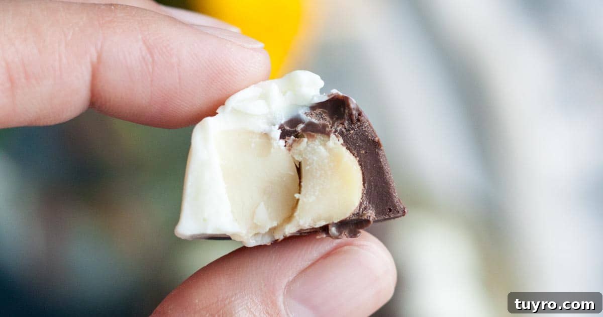 A chocolate covered macadamia nut bitten in half.
