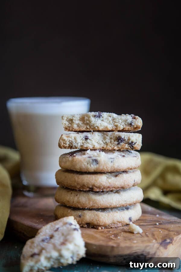 Chocolate Chip Macadamia Nut Shortbread Cookies