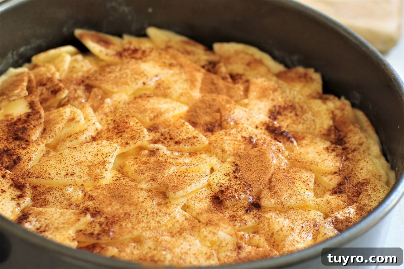 German Crustless Apple Pie — Creamy Apple-Stuffed Kuchen Recipe 11 cinnamon sprinkled on top of the apples in the baking dish