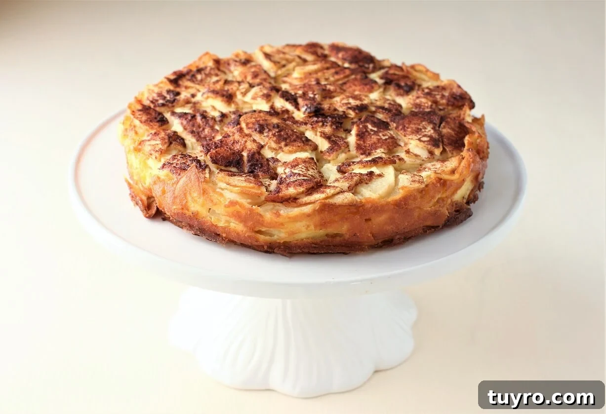 German Crustless Apple Pie — Creamy Apple-Stuffed Kuchen Recipe 12 the apple pie on a white cake stand