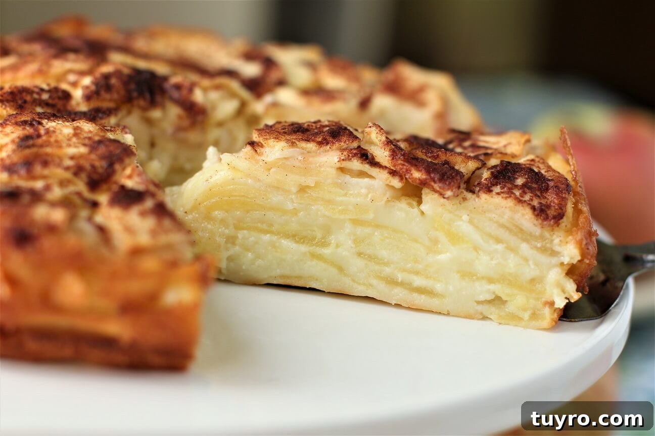 German Crustless Apple Pie — Creamy Apple-Stuffed Kuchen Recipe 6 cutting a slice of the crustless apple pie