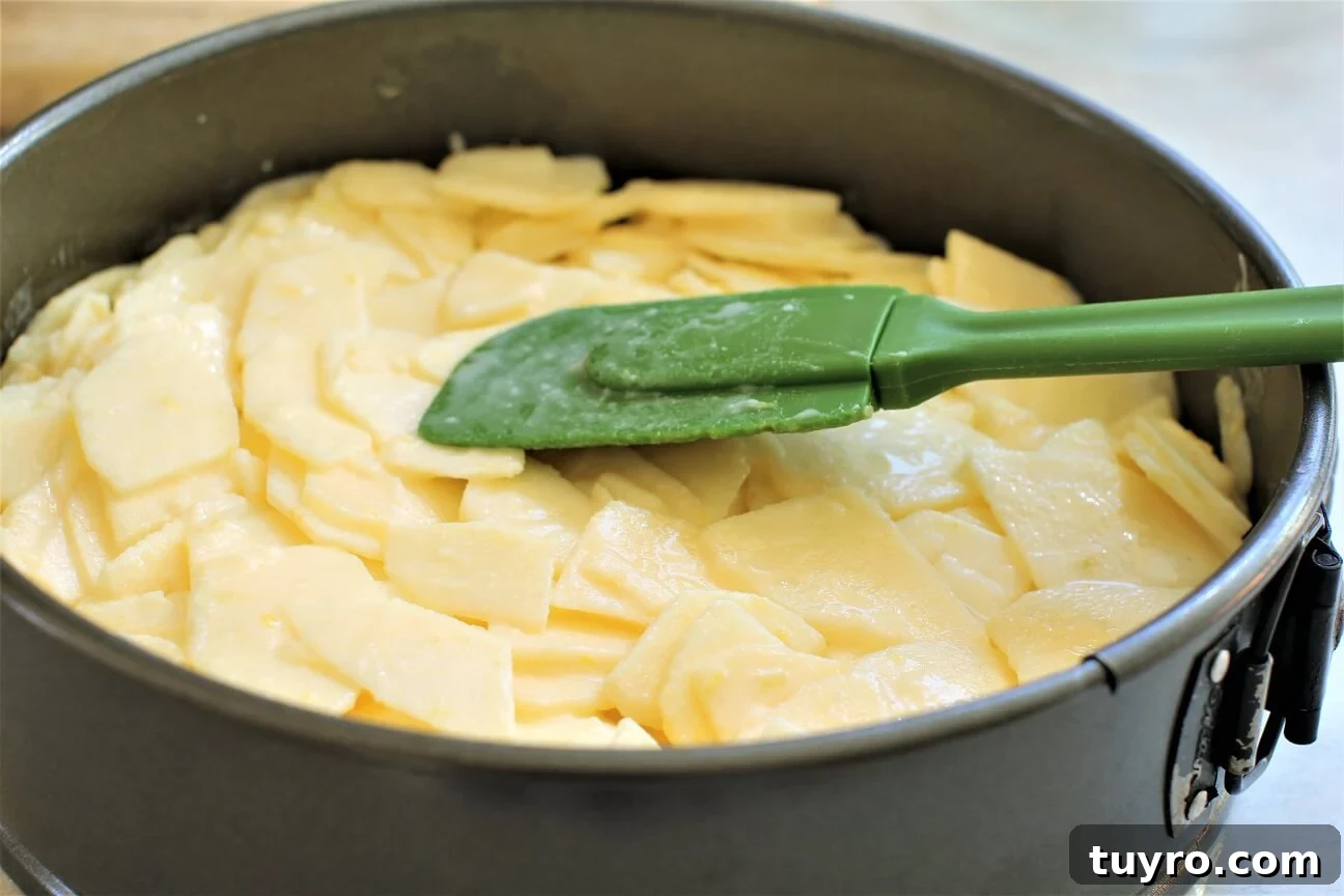 German Crustless Apple Pie — Creamy Apple-Stuffed Kuchen Recipe 10 smoothing the tops of the apple slices in the springform pan