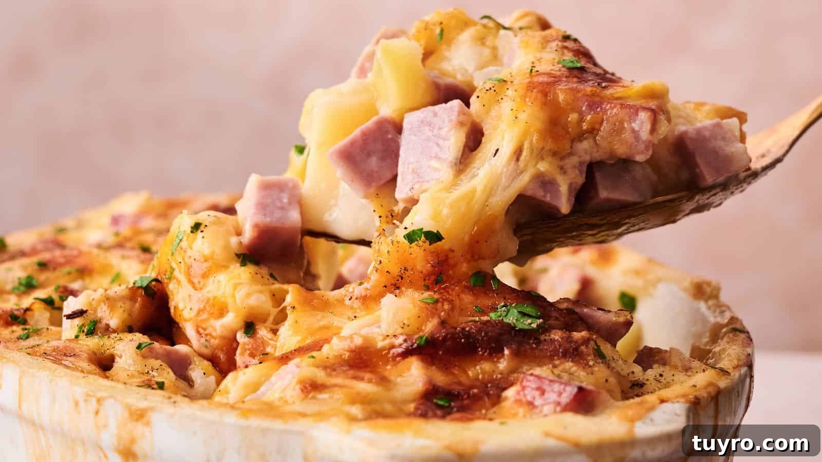 9 Ham Recipes Everyone Will Request Next Year 5 A wooden spoon lifts a serving of cheesy casserole with chunks of ham and potatoes from a baking dish.