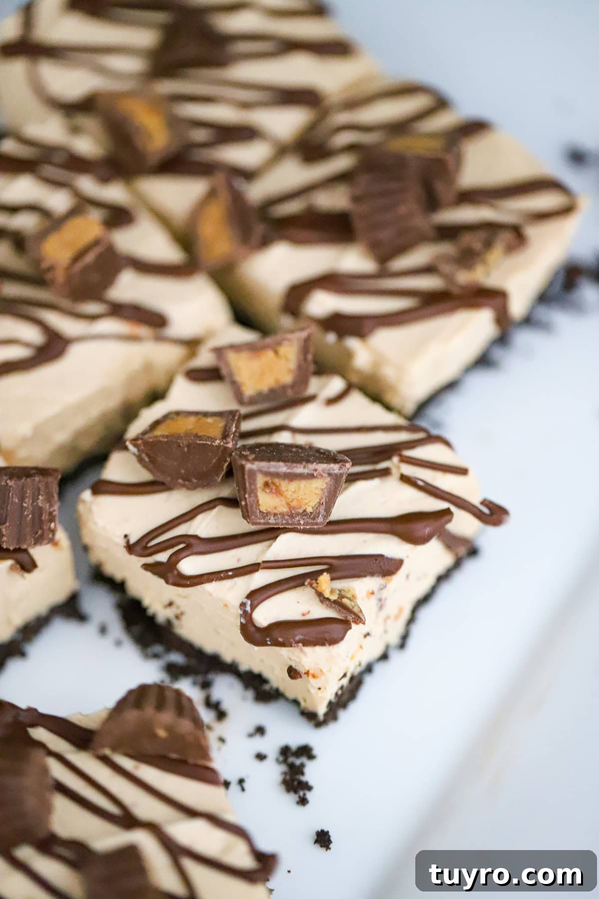 Peanut Butter Cup Protein Cheesecake Recipe 2 Peanut butter cup protein cheesecake bars on a serving board