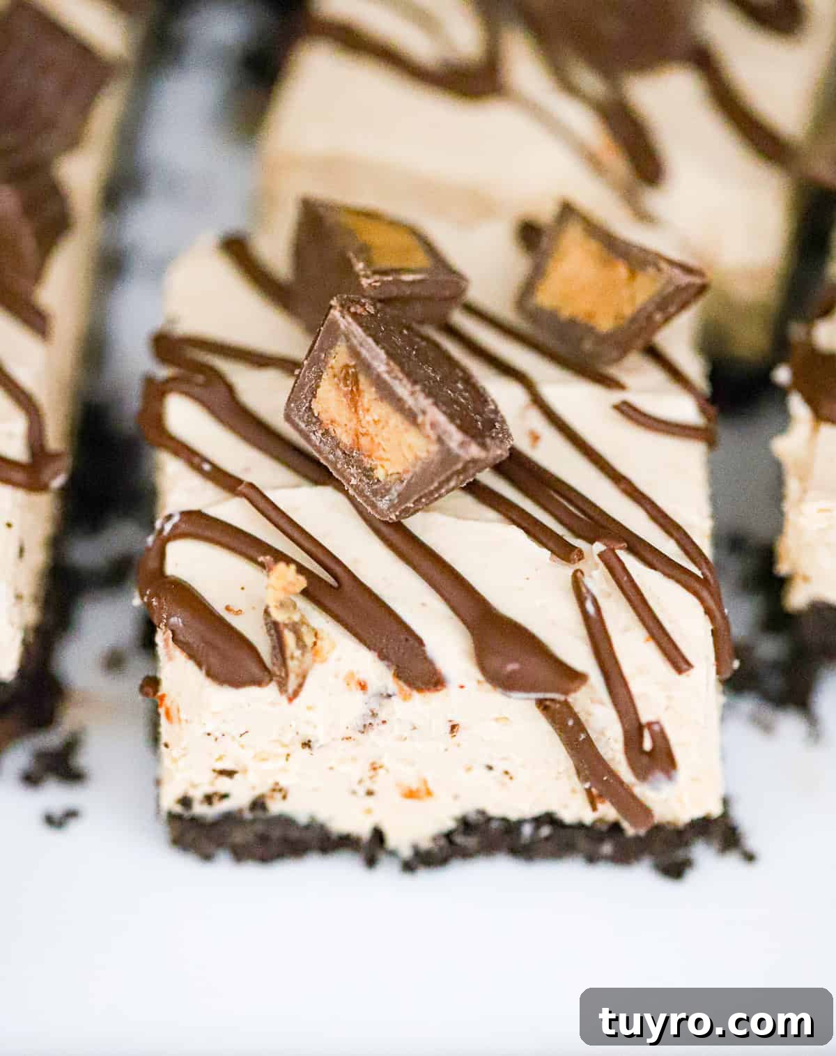 Peanut Butter Cup Protein Cheesecake Recipe 6 Sliced dessert bars showing thick creamy filling and chocolate crust layers