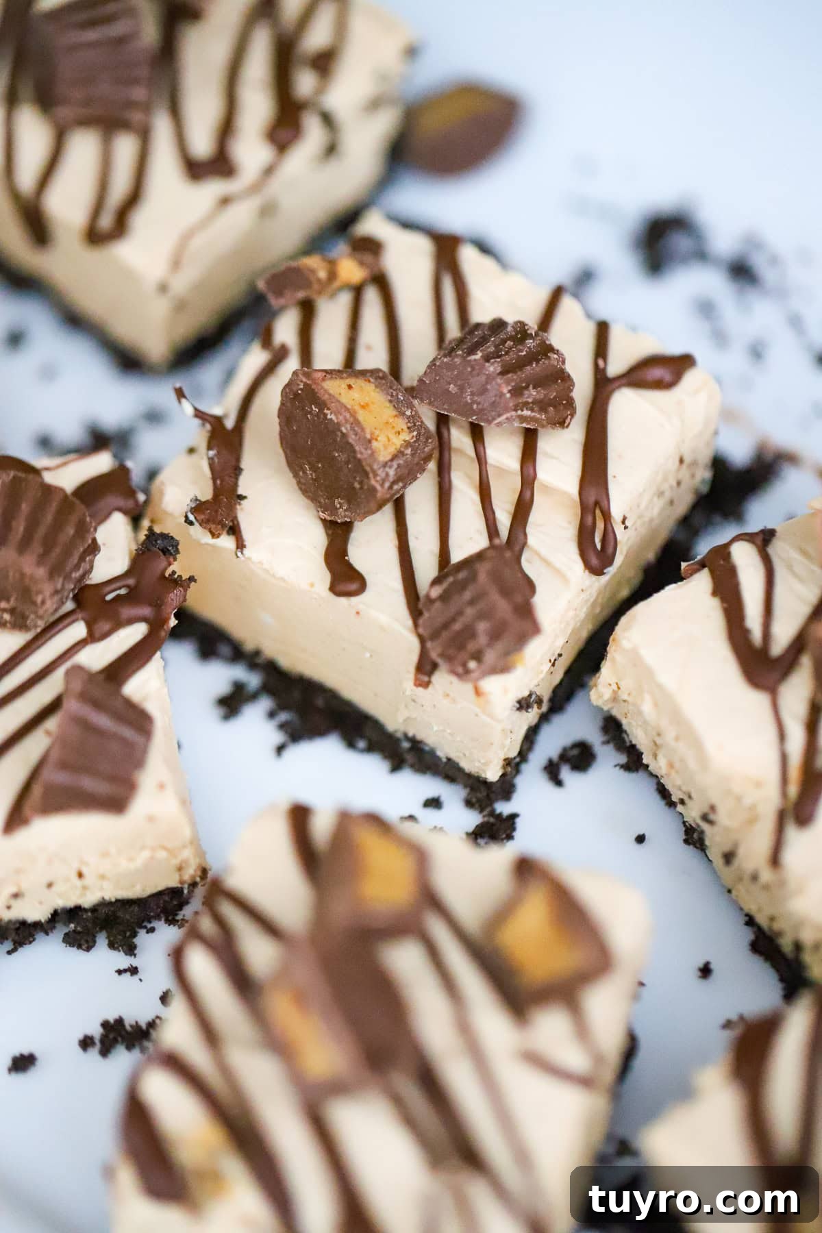 Peanut Butter Cup Protein Cheesecake Recipe 7 No-bake protein cheesecake bars with melted chocolate topping