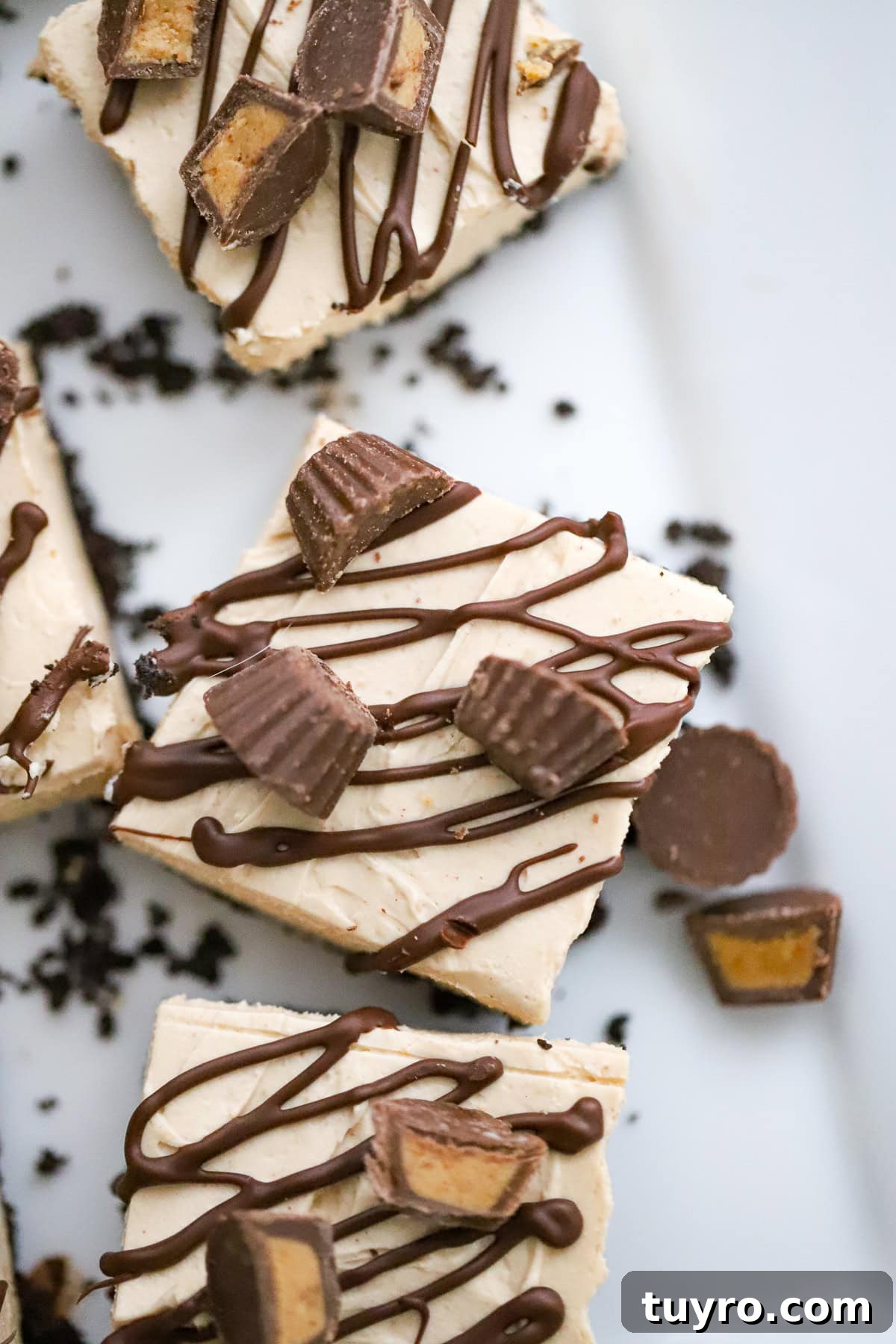 Peanut Butter Cup Protein Cheesecake Recipe 8 Close-up of peanut butter cup protein cheesecake with chocolate drizzle