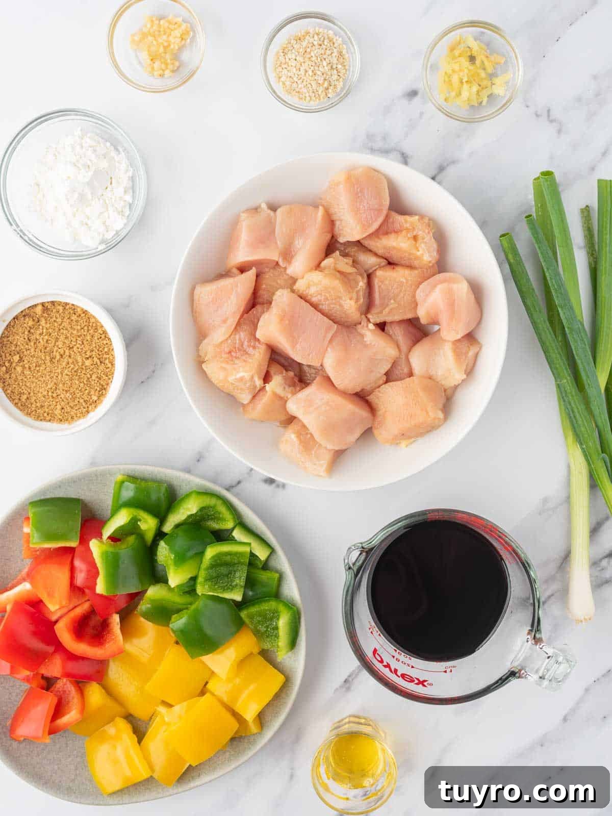 Ingredients needed for grilled chicken teriyaki.