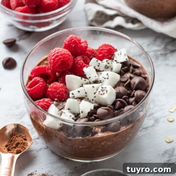 Brownie Batter Overnight Oats Recipe for Indulgent Breakfast 11 Glass bowl of brownie batter overnight oats with spoon of cocoa powder nearby.