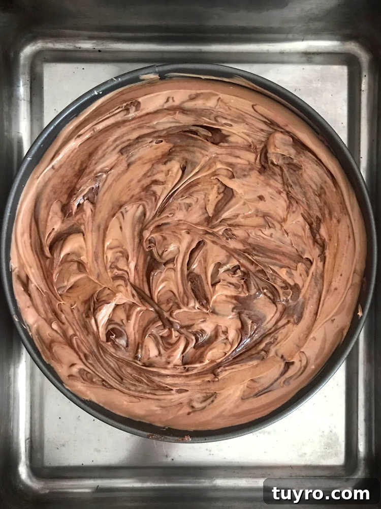 Decadent Nutella Cheesecake Recipe: Creamy No-Bake Dessert 3 Overhead image of cheesecake with nutella swirled into the batter before baking.