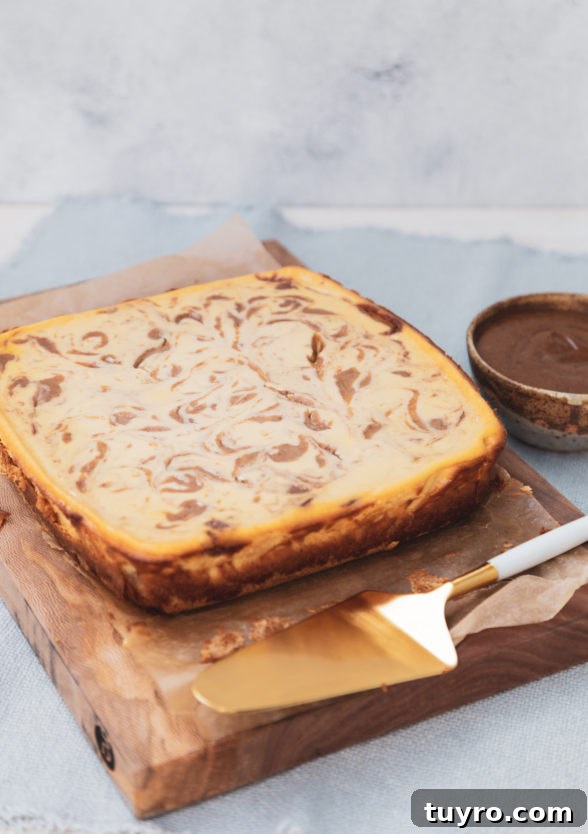Salted Caramel Cheesecake Bars: No-Bake Dessert Recipe 6 img 24766 5