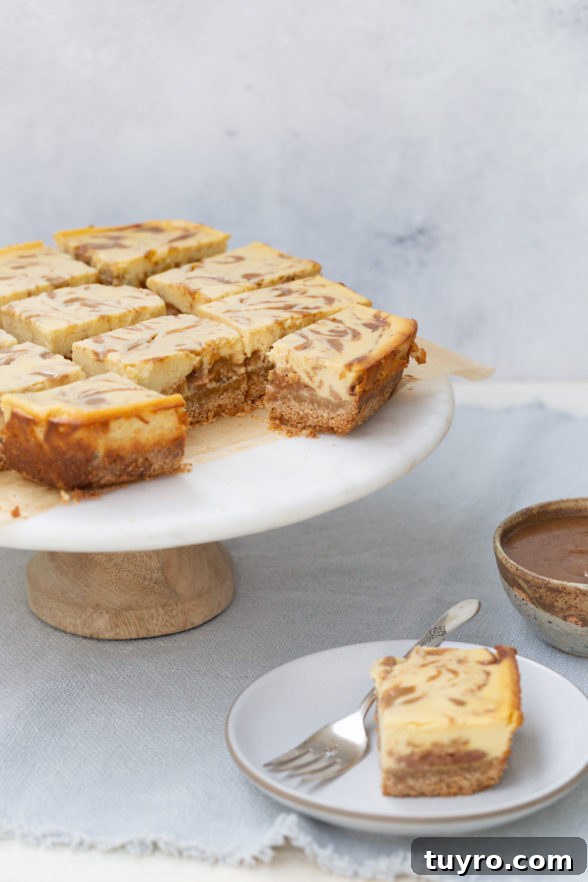 Salted Caramel Cheesecake Bars: No-Bake Dessert Recipe 7 img 24766 6